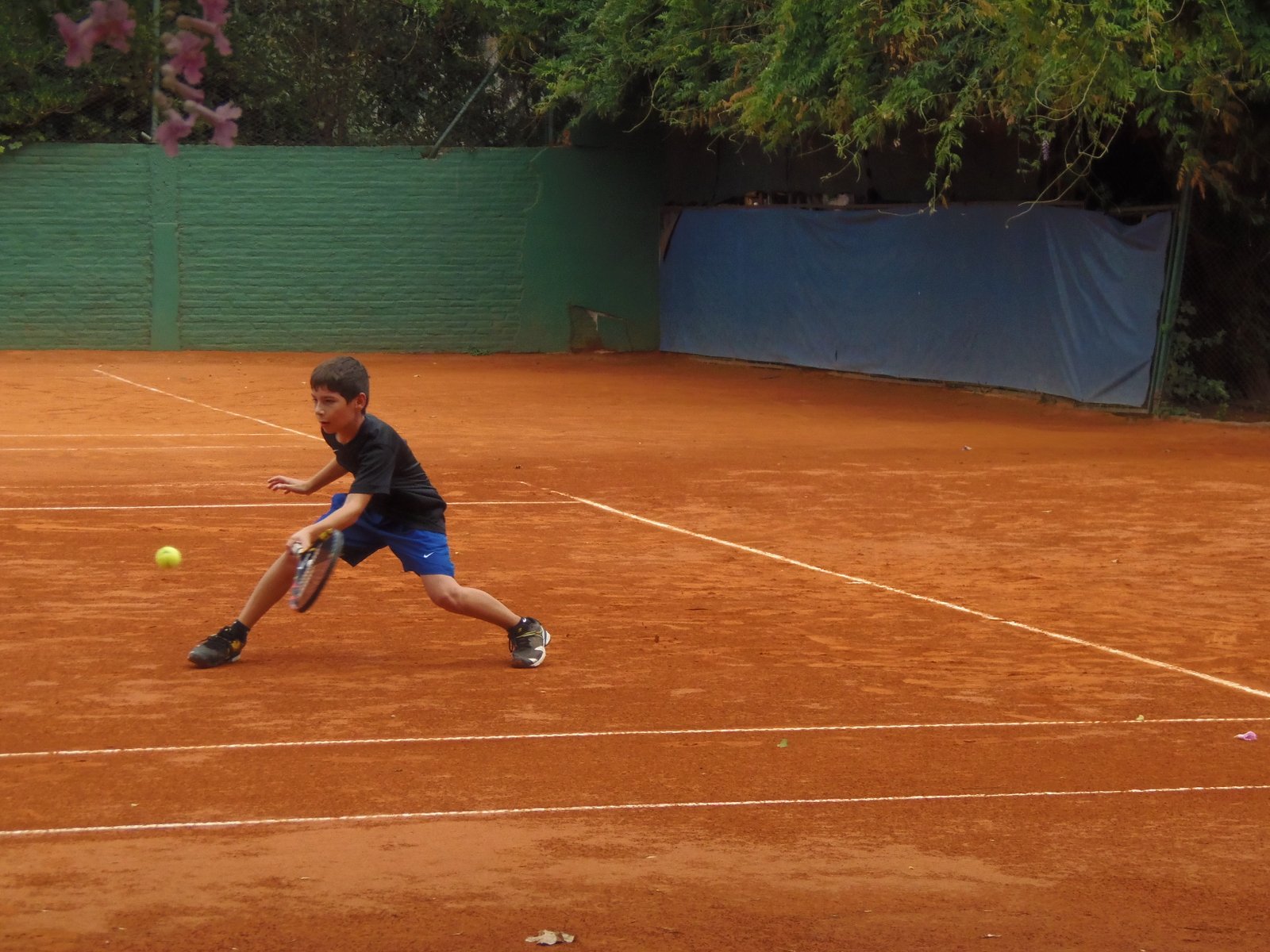 Entrenamiento
